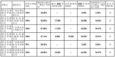 国光电器股份有限公司关于公司开展 外汇衍生品交易业务的公告