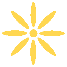 我辞职在家做交易的这几年<strong></p>
<p>怎么做外汇交易</strong>，是怎么过的？