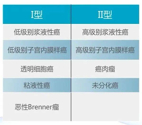 【衡道丨笔记】卵巢癌临床病理特征及分子研究进展