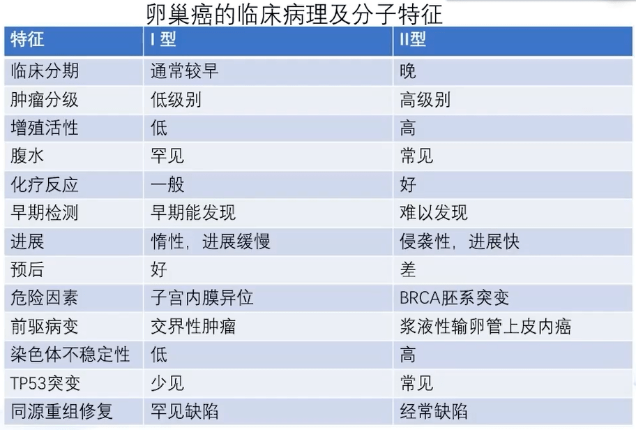 【衡道丨笔记】卵巢癌临床病理特征及分子研究进展