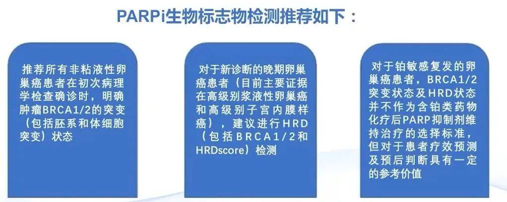 【衡道丨笔记】卵巢癌临床病理特征及分子研究进展