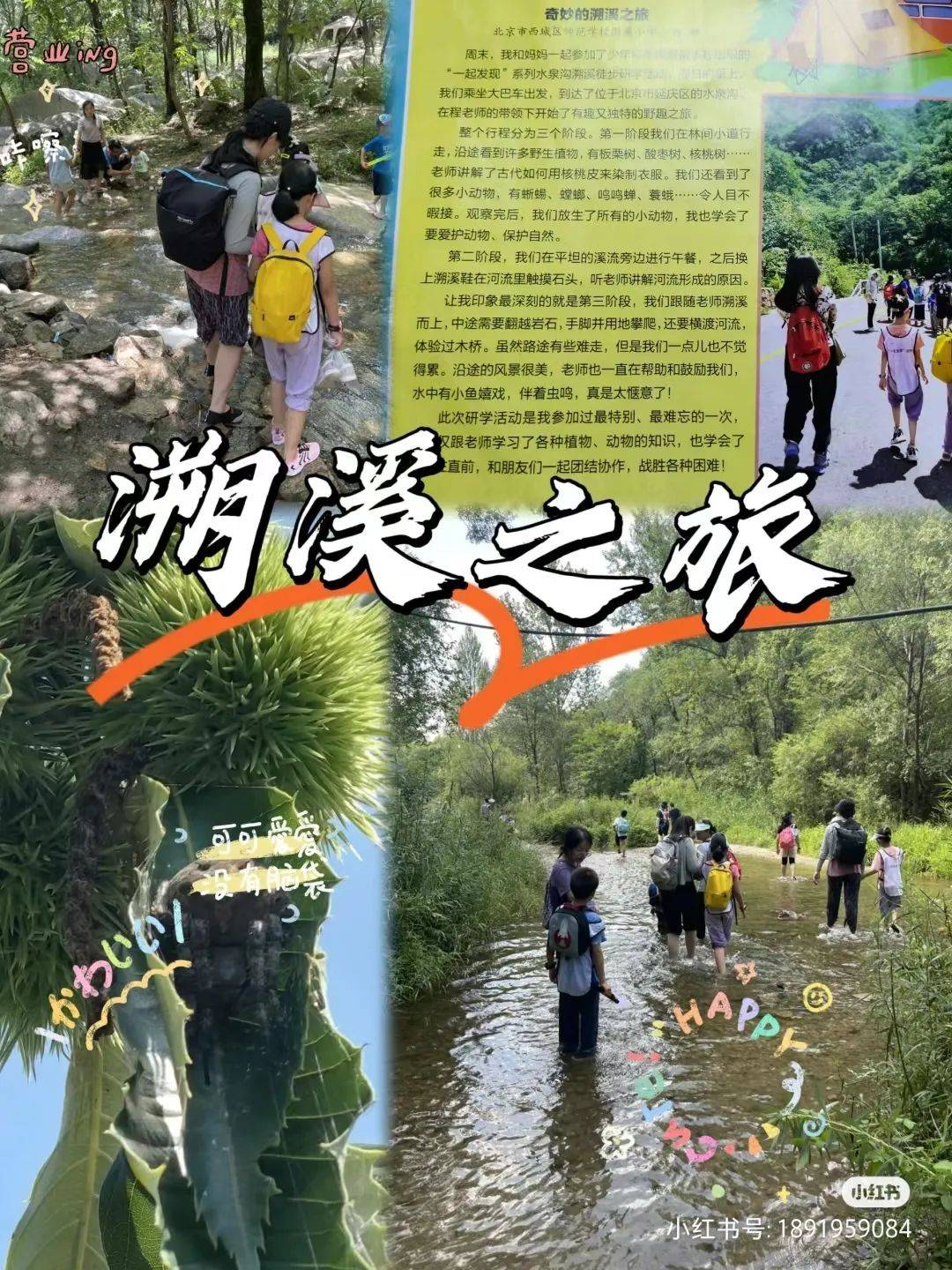 龟甲、沙葱萤叶甲、土蝽……要去昆虫圣地寻找鹿角花金龟啦<strong></p>
<p>金龟</strong>！