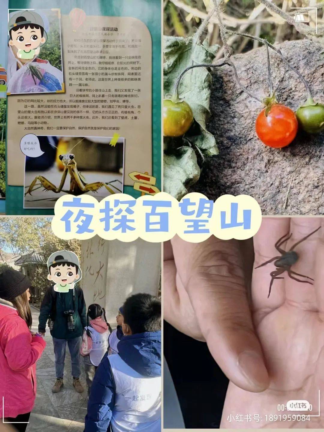 龟甲、沙葱萤叶甲、土蝽……要去昆虫圣地寻找鹿角花金龟啦<strong></p>
<p>金龟</strong>！