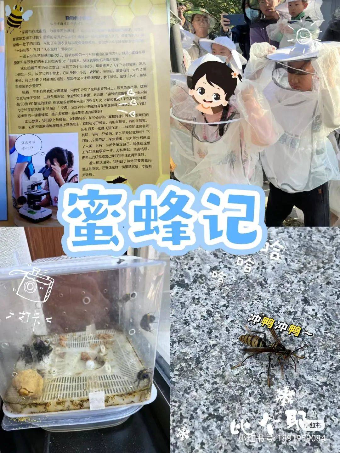 龟甲、沙葱萤叶甲、土蝽……要去昆虫圣地寻找鹿角花金龟啦<strong></p>
<p>金龟</strong>！