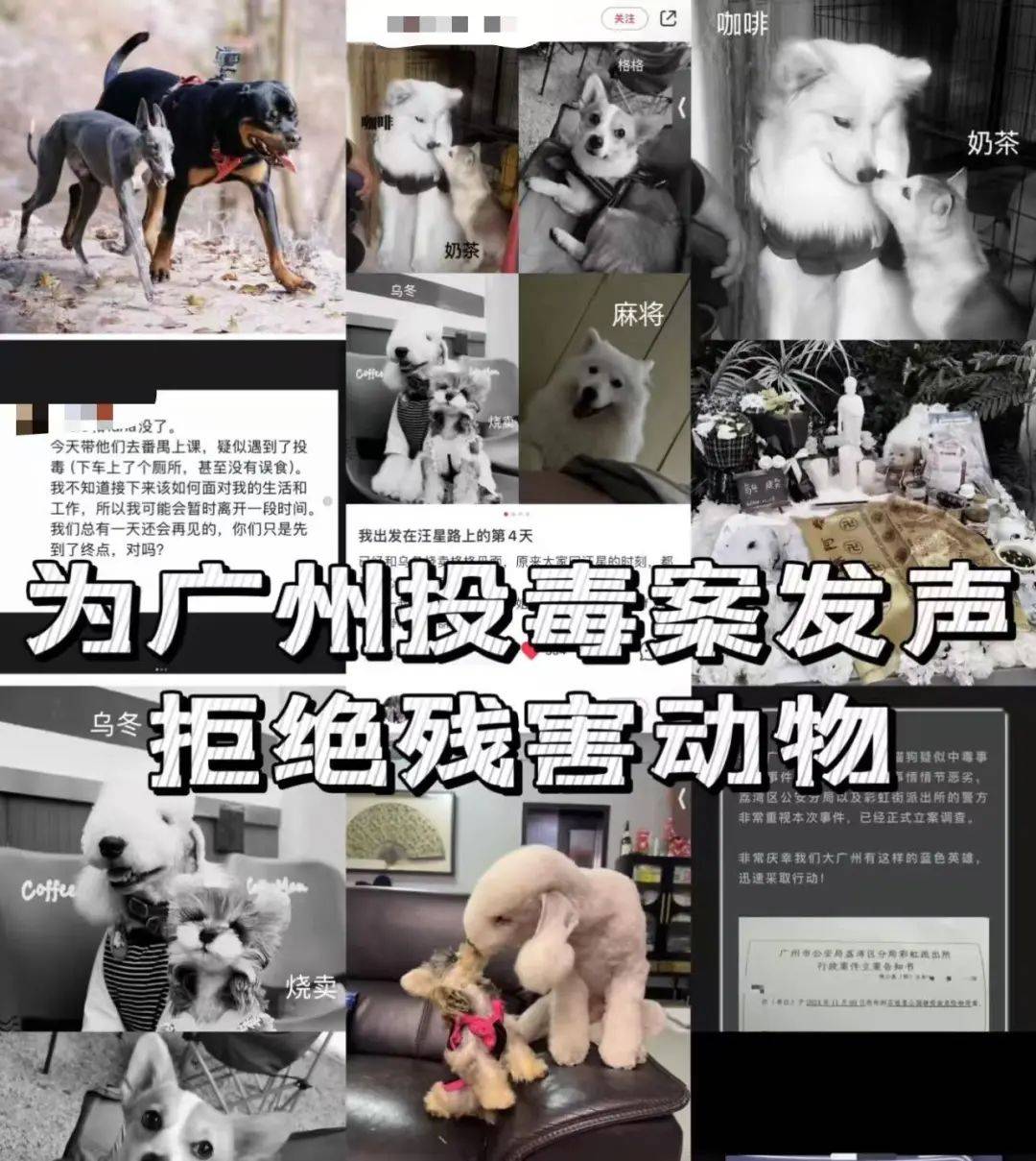 “死亡数据仍在上升”<strong></p>
<p>QSQ</strong>！广州警方介入