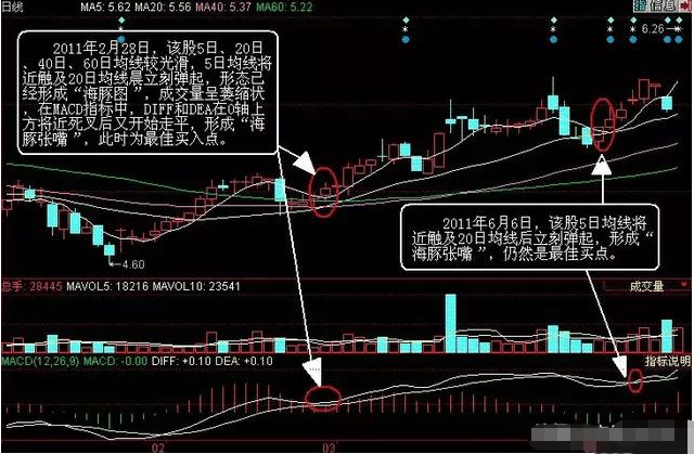 A股市场：股票一旦出现“海豚嘴”形态<strong></p>
<p>波特全球站</strong>，坚定捂股，将是大牛股起飞