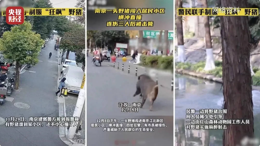 有极强攻击性<strong></p>
<p>Coincheck</strong>！警方确认：当场击毙