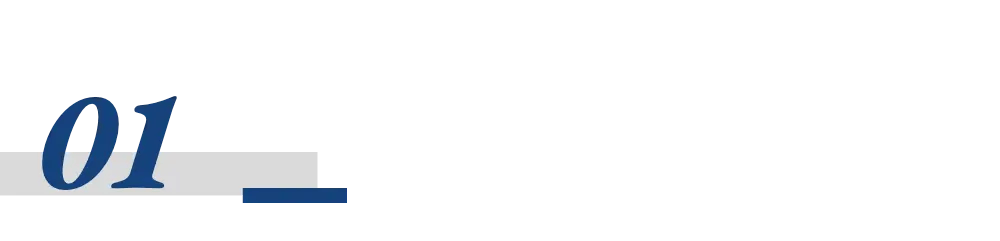 英伟达为何被反垄断立案调查<strong></p>
<p>币阁</strong>？