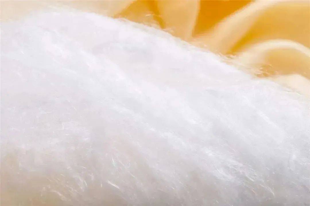 别买<strong></p>
<p>Mooniswap</strong>！别开门！深圳已有人中招！多地网友吐槽：心都凉了……