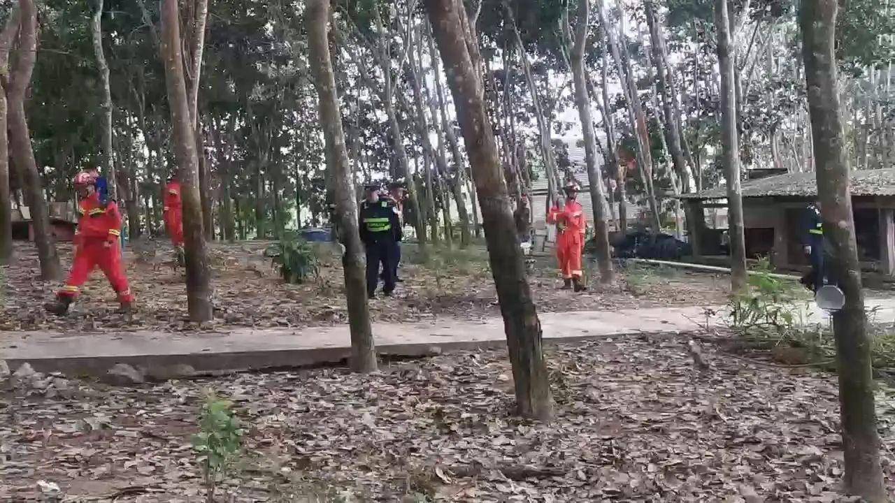 云南一310斤鳄鱼凌晨破笼脱逃：在鱼塘找到<strong></p>
<p>Mooniswap</strong>，特警开枪击毙