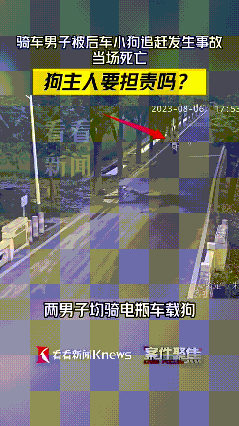 男子骑电车被狗追撞树身亡<strong></p>
<p>Mooniswap</strong>，狗主人要担责吗？