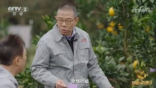 2024年末央视再度专访钟睒睒<strong></p>
<p>BitMarket</strong>，背后有何深意？