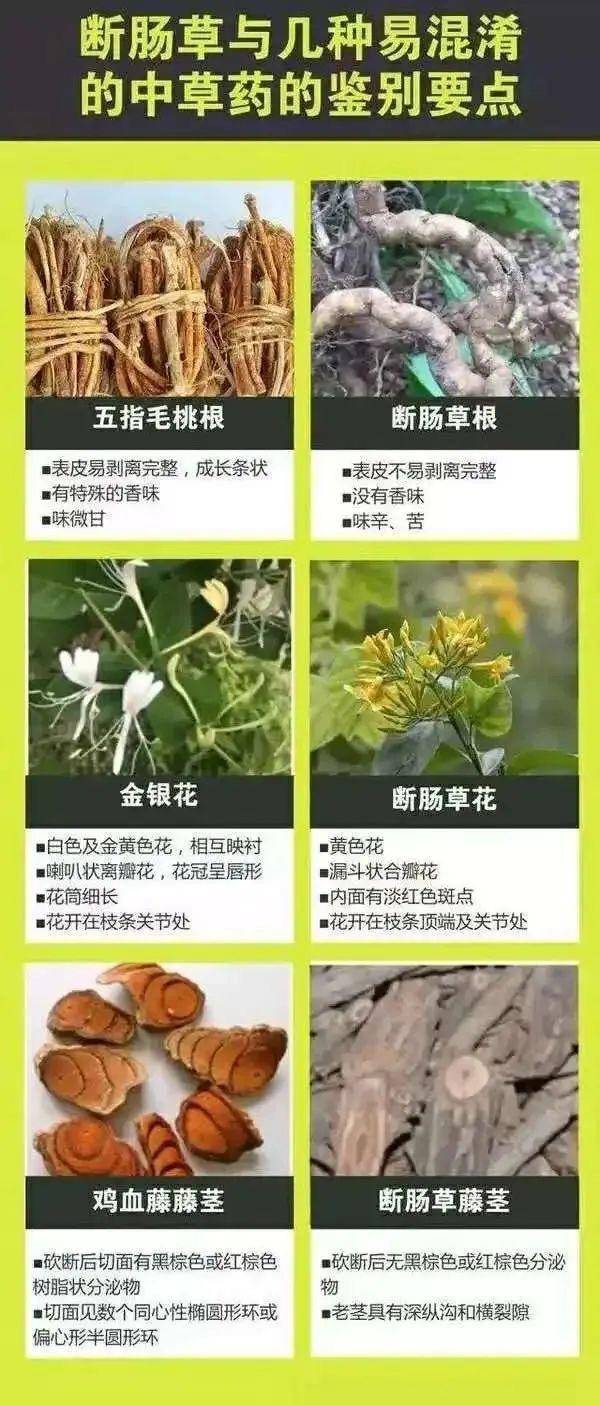 广东一老人买药材煲汤中毒身亡 当地：店铺误售断肠草<strong></p>
<p>Asproex</strong>，老板被拘留