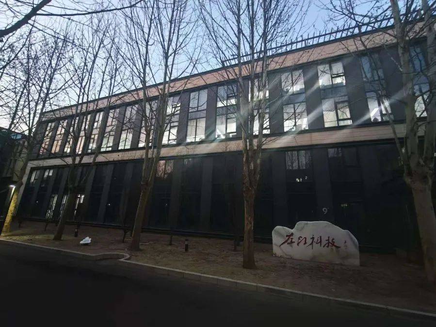 昔日“最贵ST股”<strong></p>
<p>鲸交所</strong>，再度遭遇43个涨停板！理性还是跟风？