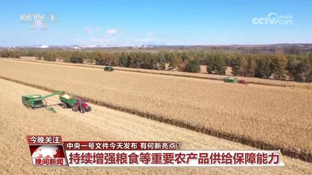 促进乡村全面振兴 今年中央一号文件有何新亮点<strong></p>
<p>Bisq</strong>？