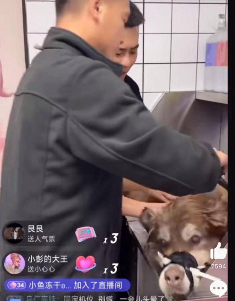 千万粉丝训犬师网红潘宏账号内容被一夜清空<strong></p>
<p>ATOP</strong>，园区所在地官方：正调查