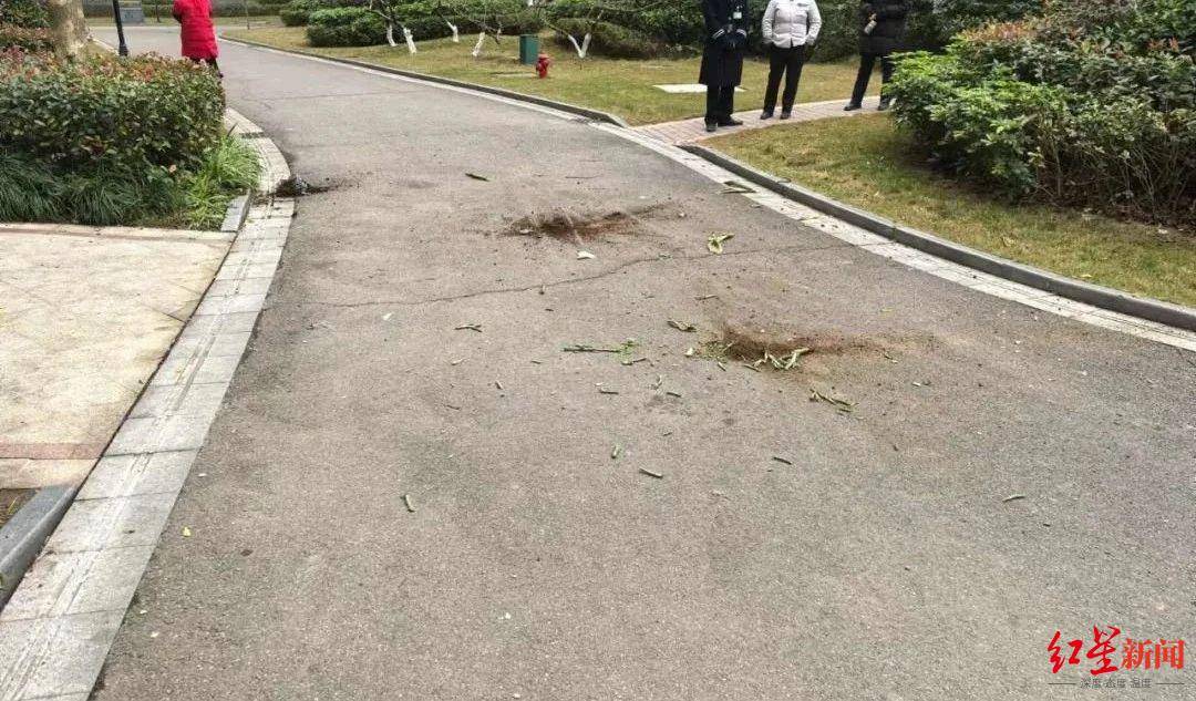 女子与男友吵架后从8楼扔下3个花盆险砸中路人<strong></p>
<p>佩奇</strong>，被判拘役并处罚金