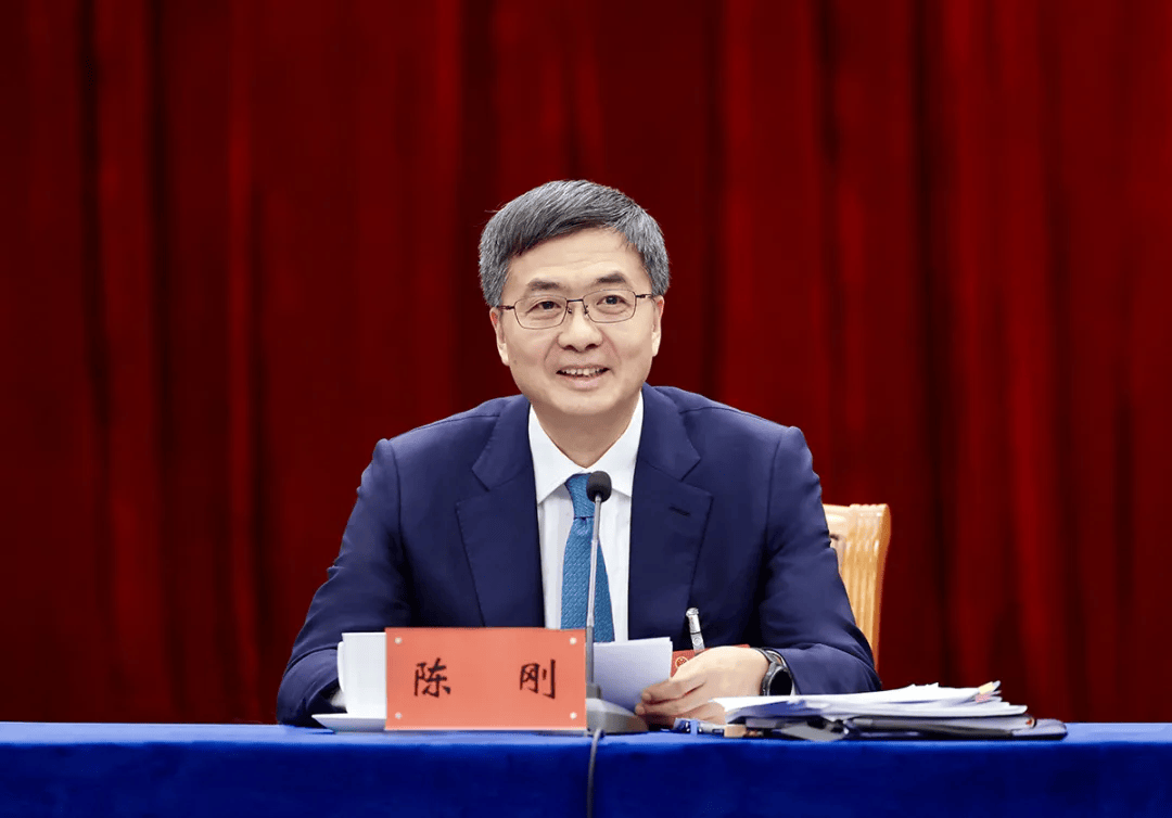 陈刚：缅北电信诈骗把我们坑得比较苦<strong></p>
<p>外汇</strong>，广西深受其害