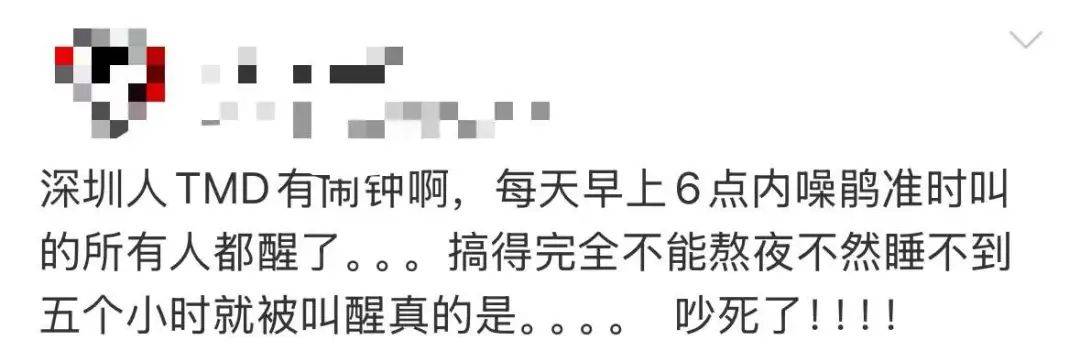 “周末想睡个懒觉都不行”<strong></p>
<p>法国外汇</strong>，有多少深圳人被这种鸟吵到神经衰弱