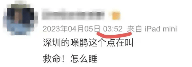“周末想睡个懒觉都不行”<strong></p>
<p>法国外汇</strong>，有多少深圳人被这种鸟吵到神经衰弱