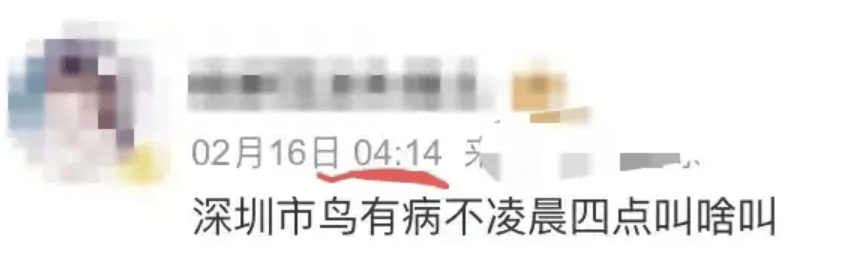“周末想睡个懒觉都不行”<strong></p>
<p>法国外汇</strong>，有多少深圳人被这种鸟吵到神经衰弱