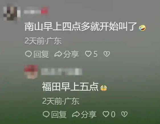 “周末想睡个懒觉都不行”<strong></p>
<p>法国外汇</strong>，有多少深圳人被这种鸟吵到神经衰弱