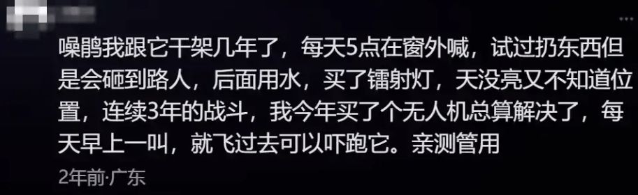 “周末想睡个懒觉都不行”<strong></p>
<p>法国外汇</strong>，有多少深圳人被这种鸟吵到神经衰弱