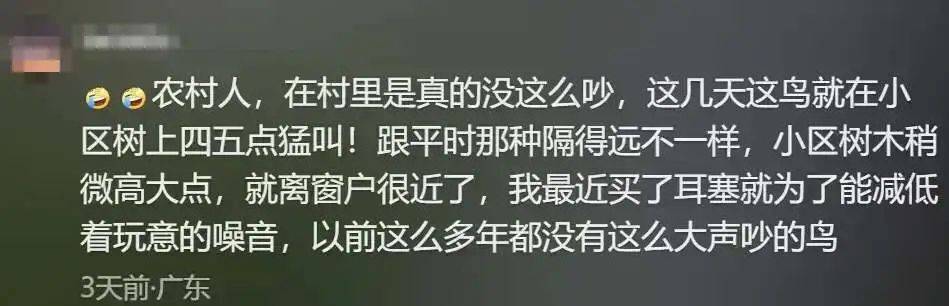 “周末想睡个懒觉都不行”<strong></p>
<p>法国外汇</strong>，有多少深圳人被这种鸟吵到神经衰弱