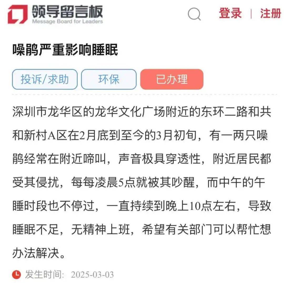 “周末想睡个懒觉都不行”<strong></p>
<p>法国外汇</strong>，有多少深圳人被这种鸟吵到神经衰弱