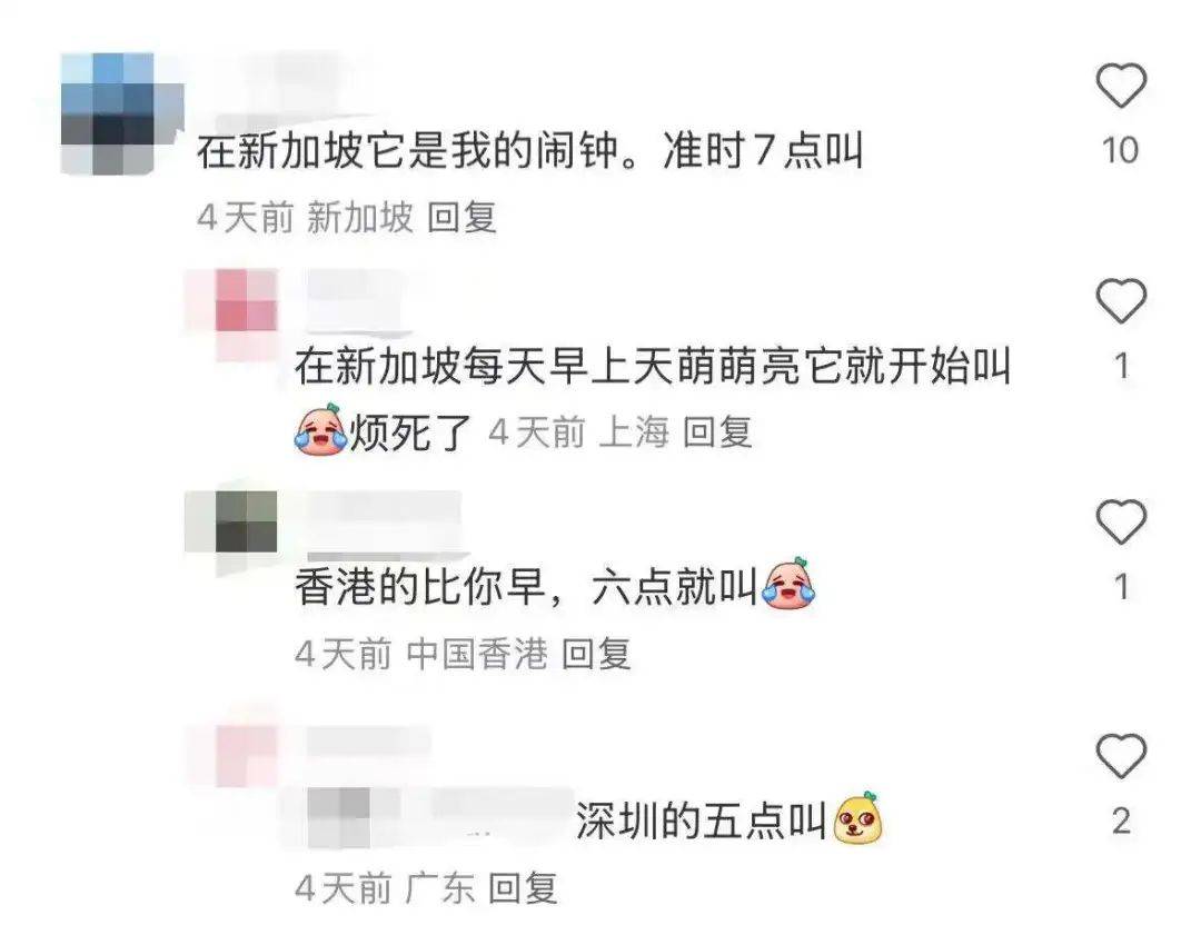 “周末想睡个懒觉都不行”<strong></p>
<p>法国外汇</strong>，有多少深圳人被这种鸟吵到神经衰弱