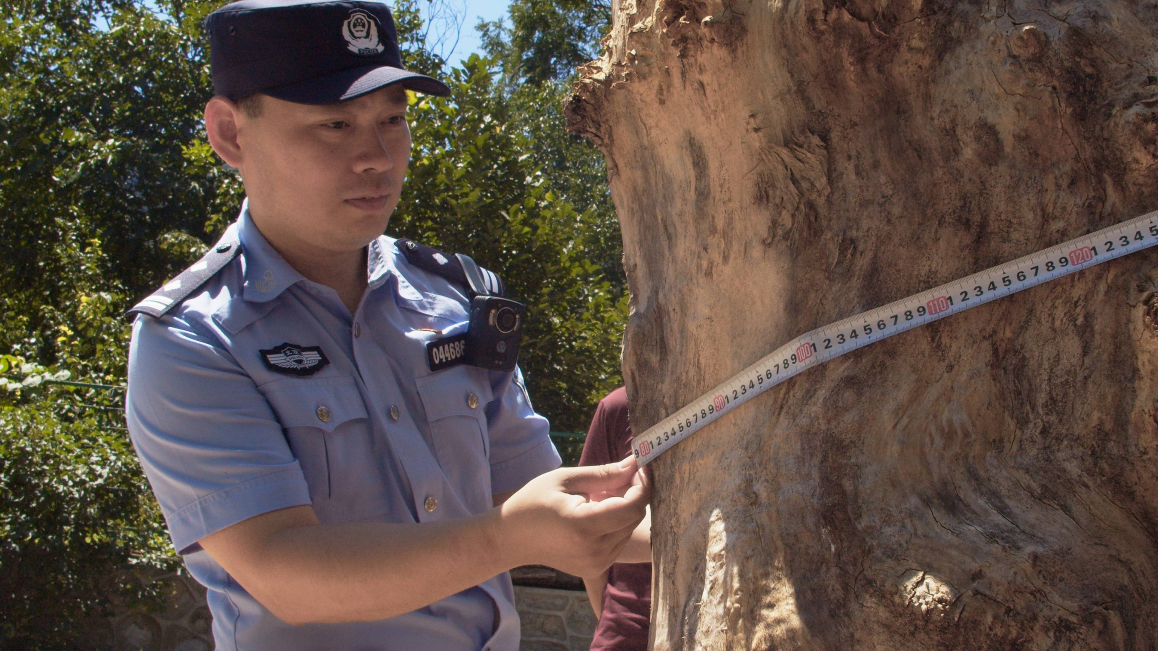森林警察韩孟祺：乔装成驴友潜伏密林中<strong></p>
<p>海南</strong>，抓获“粘鸟”嫌疑人