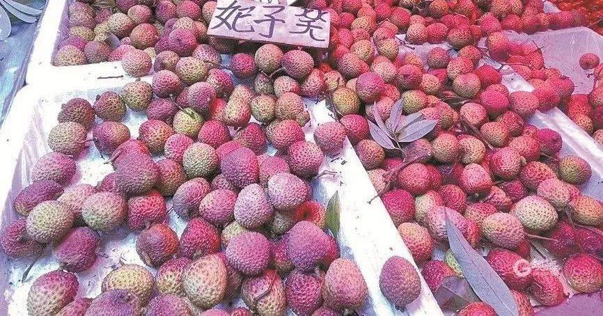 大跳水<strong></p>
<p>pai币</strong>，暴跌40%！老板：一天一个价，估计还要跌