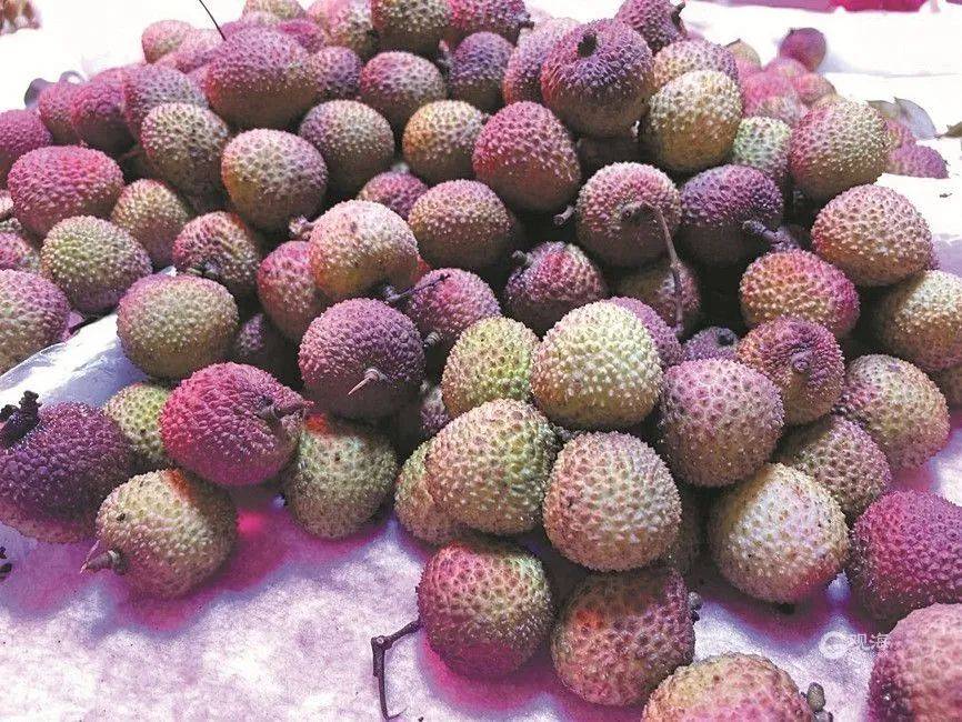 大跳水<strong></p>
<p>pai币</strong>，暴跌40%！老板：一天一个价，估计还要跌