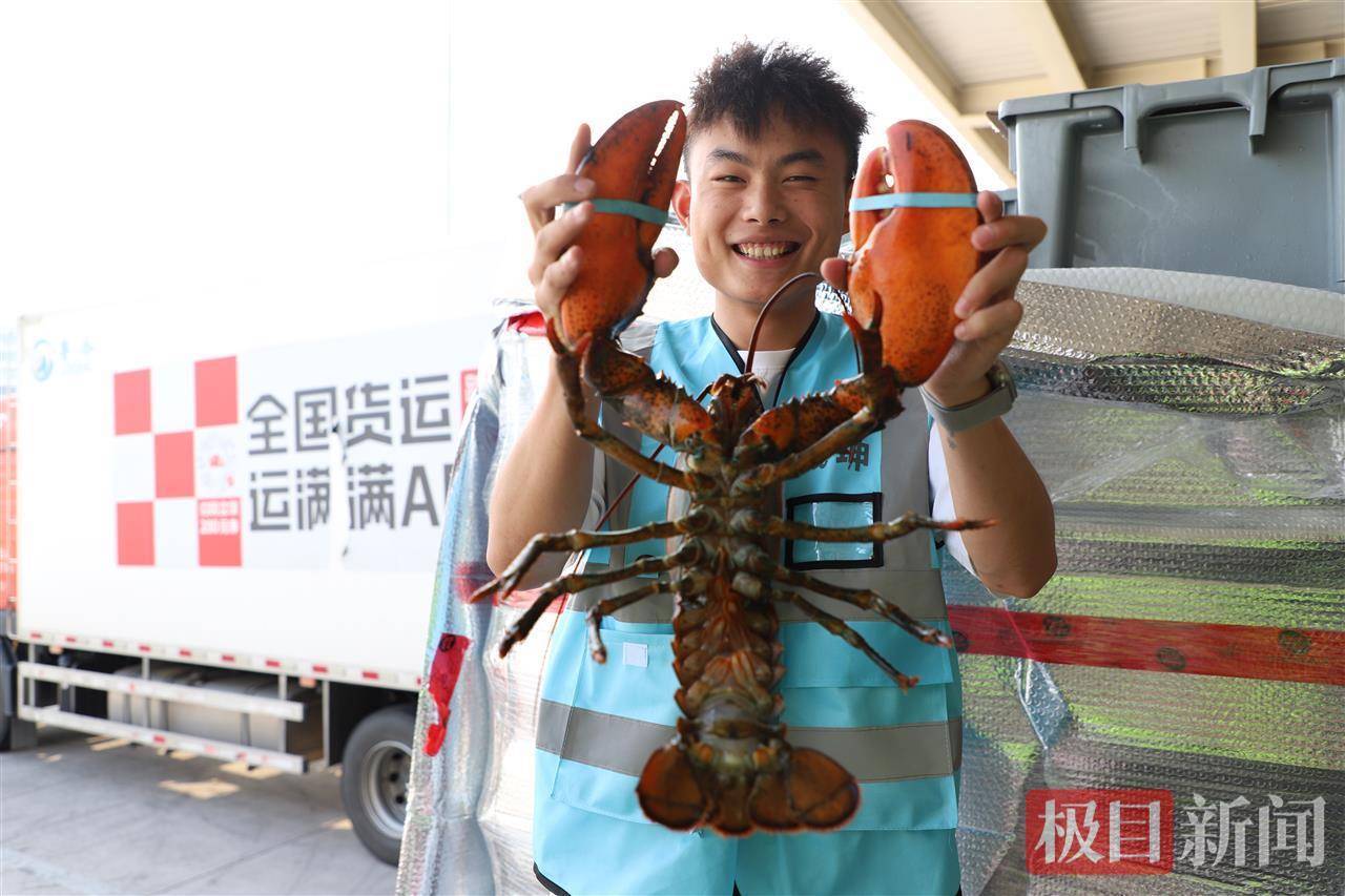 一只虾重堪比一个西瓜！90吨活波龙运抵鄂州<strong></p>
<p>花生</strong>，花湖机场货运航线突破100条