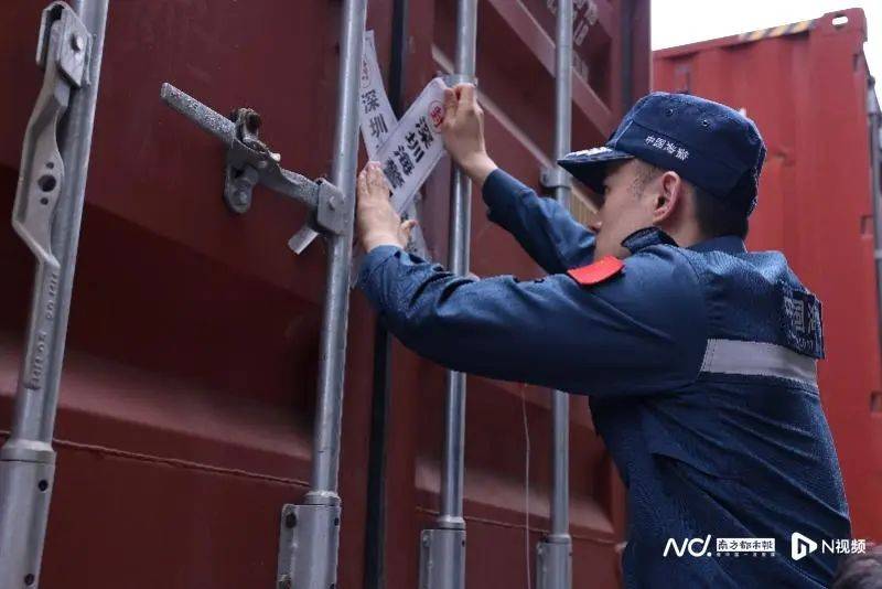 焚烧牛肚、猪肚等<strong></p>
<p>花生</strong>，约1200吨！深圳海警局集中处置