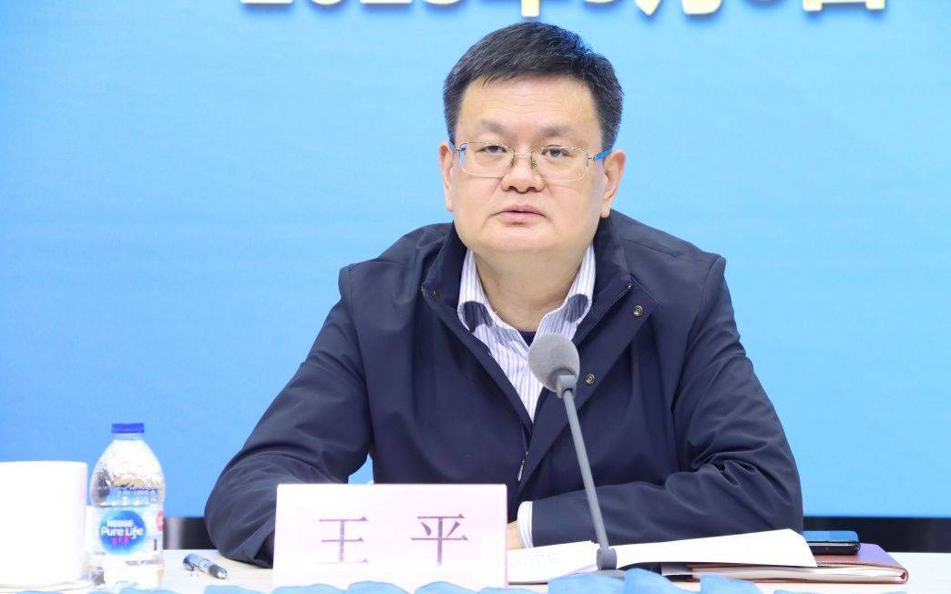 上海市政府办公厅主任王平<strong></p>
<p>啤酒</strong>，履新职