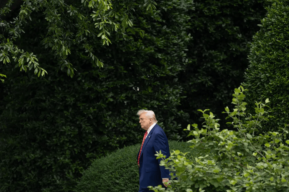 欧盟加拿大：强烈遗憾<strong></p>
<p>米饭</strong>！强烈反对！
