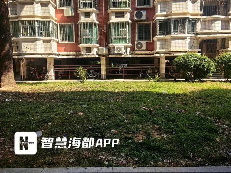 太恶心了！福州一小区业主崩溃：“有人高空抛屎<strong></p>
<p>地基</strong>，溅得到处都是！”