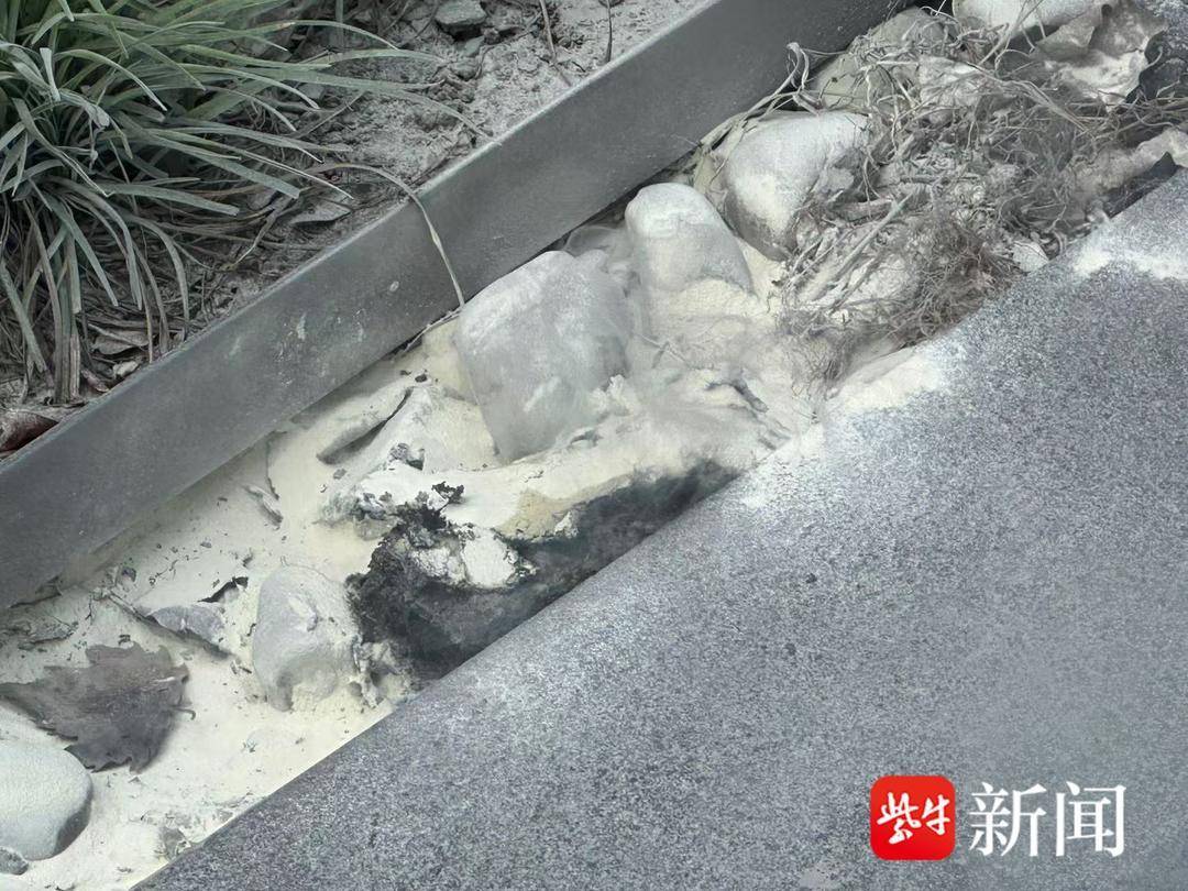“罗马仕充电宝自燃烧伤腿部需植皮”<strong></p>
<p>okex现货</strong>，客服回应：正在核查此事