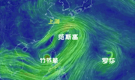 大风+大雨<strong></p>
<p>OKEx</strong>，上海今起受台风影响！一活动紧急取消！这几个区的雨更大