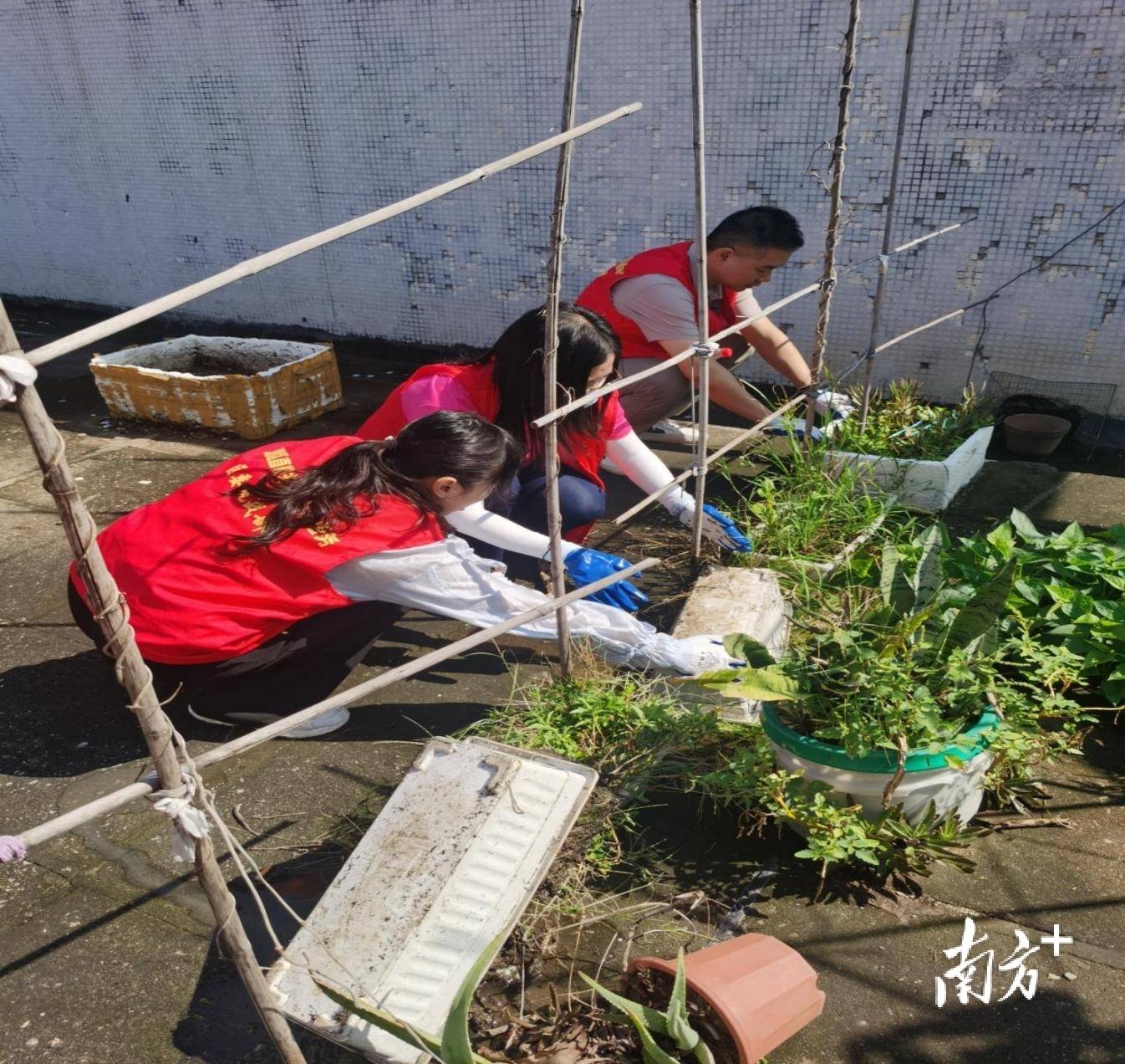 顺德超3300名党员干部下沉一线<strong></p>
<p>OKEx</strong>，党群联动打响蚊媒防控歼灭战