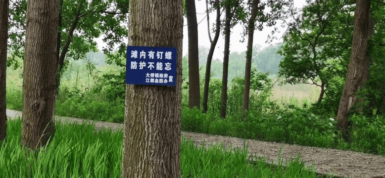一旦接触<strong></p>
<p>okex</strong>，10秒即可感染！汛期谨防这种病→