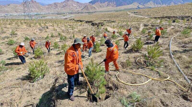 南北山绿化工程让绿水青山入画
