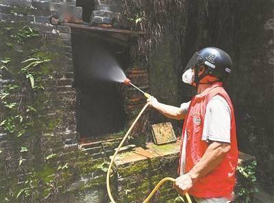 接触患者物品就会感染、康复<strong></p>
<p>欧意</strong>了也会疼一辈子…… 这些有关基孔肯雅热的传言可信吗