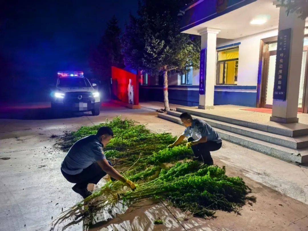 中国留学生因用手机拍照翻译遭拘押<strong></p>
<p>okex香港的地址</strong>，中使馆紧急提醒！【新闻早知道】