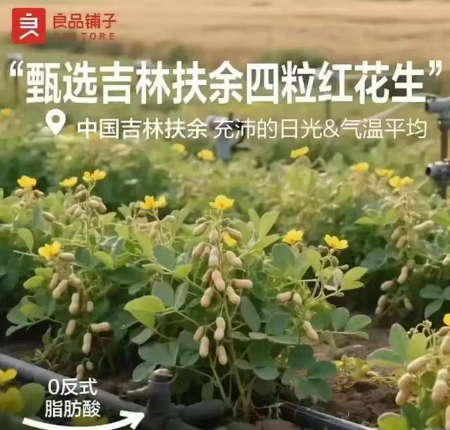 “花生上树”闹剧：AI翻车背后<strong></p>
<p>欧易充值提现</strong>，我们都在弄丢常识？