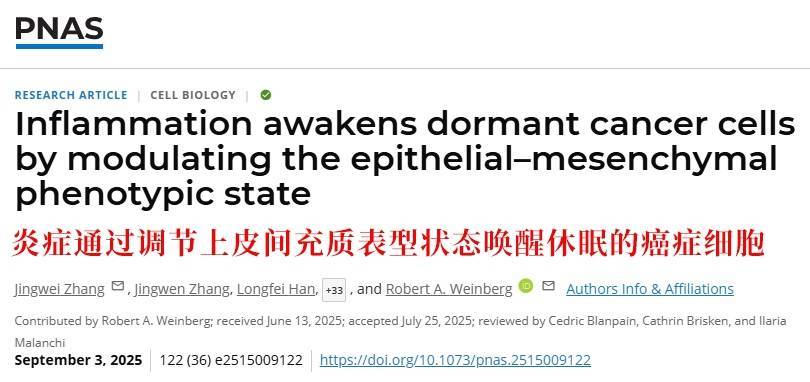 长期炎症会“唤醒”癌细胞<strong></p>
<p>okex中国官网</strong>！这份抗炎指南每个人都该看看