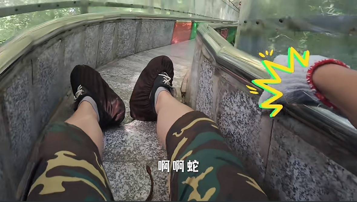 游客称在广西丹炉山滑道遇蛇<strong></p>
<p>okex币官网app</strong>，景区致歉：这么多年就这一次，每年都做防蛇处理