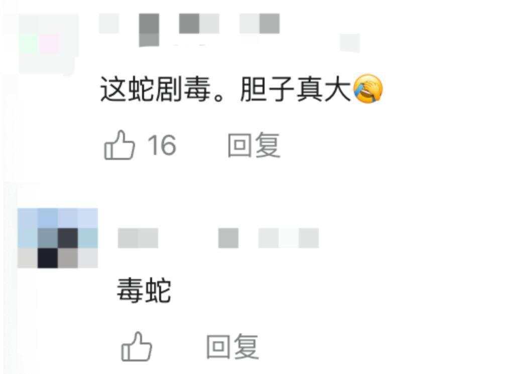 驴友爬山捡幼蛇轮流抚摸<strong></p>
<p>okex官网</strong>，专家：是短尾蝮蛇，毒性强，严重可导致死亡！
