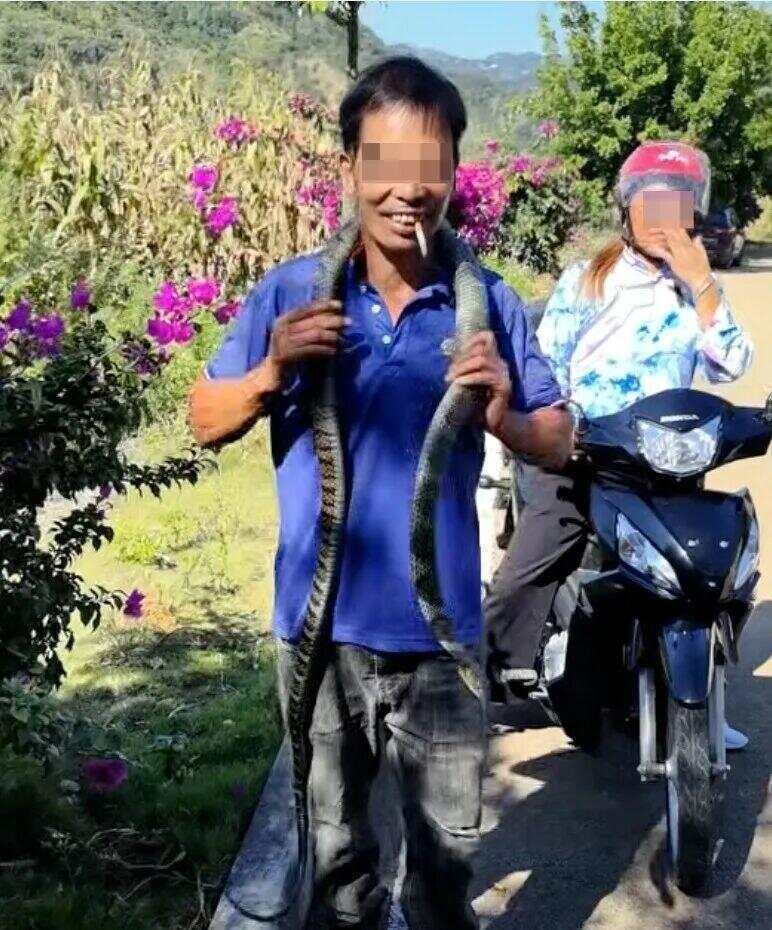 驴友爬山捡幼蛇轮流抚摸<strong></p>
<p>okex官网</strong>，专家：是短尾蝮蛇，毒性强，严重可导致死亡！